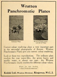 1918 Ad Kodak Wratten Panchromatic Plates Color Render Photography