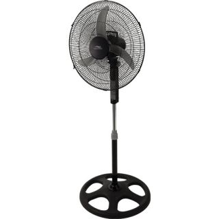 Environment Lakewood 16 Inch 3 Speed Oscillating Stand Fan   Black