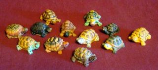 Lot of 12 Collectible Turtle Figurines Land Sea Nature Series