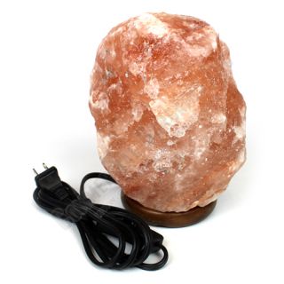 Medium Himalayan Salt Lamp 9 lb Ionic Natural Rock Spa Ambient