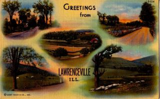 Postcard 921720 Lawrenceville IL Parks Farms Sheep
