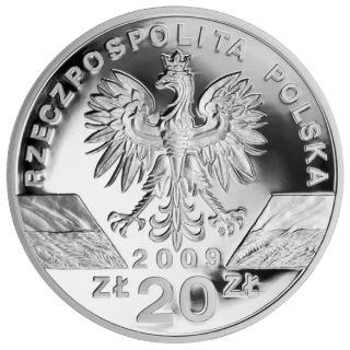 Big Silver Coin AG 925 Lizard 2009 20 Poland Zlotys