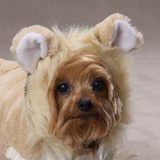 Large Casual Canine Lil Lion Halloween Dog Costume Pet Puppy Clothes