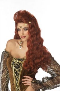Madame Destiny Halloween Gypsy Costume Wig