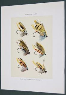 Marbury 1892 Fishing Flies Print Salmon Flies