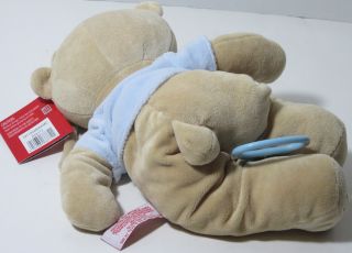2010 FAO Schwartz Blue Boy Teddy Bear Musical Crib Pull Toy Lovey