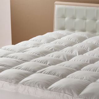 Single Bed Pillowtop Mattress Topper by Logan Mason Lofty Comfort