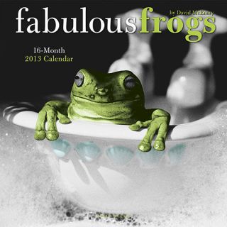 Fabulous Frogs 2013 Wall Calendar 0767190998