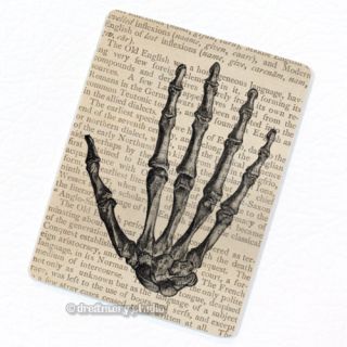 Skeleton Hand Deco Magnet; Anatomy Medical Illustration Fridge
