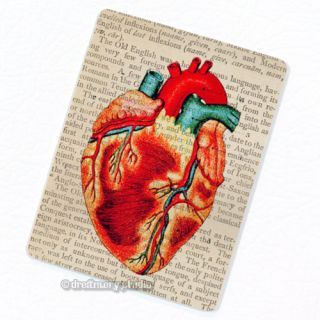 Heart #2 Deco Magnet; Anatomy Vintage Anatomy Medical Illustration