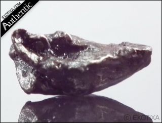 11g Sikhote Alin Iron Meteorite from Russia w Case MQ44