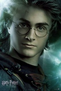 Harry Potter Goblet of Fire Movie Poster 1 Sided Original Intl Harry B