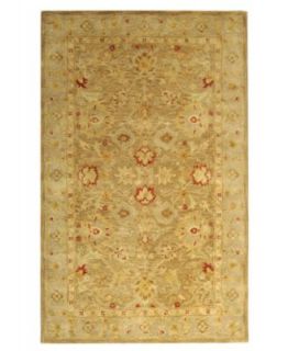 MANUFACTURERS CLOSEOUT Safavieh Area Rug, Antiquity AT822B Brown