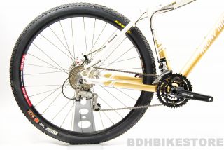 2011 Rocky Mountain Vertex 29 SE 19 29er Custom Build Show Bike