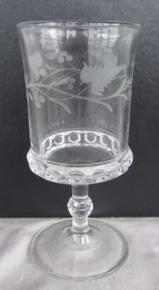 Dakota Etched Decorated Water Goblet, Ripley & US Glass, EAPG, PG 075
