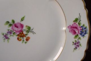Haviland China Chantilly France Limoges Dinner Plate