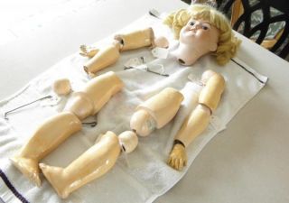  German Bisque Head Doll w Composition Body Am 390 