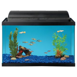 Sale Fish Grreat Choice™ 10 Gallon Aquarium Starter