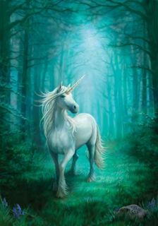 Einhorn Grußkarte Folie Forest Unicorn Anne Stokes