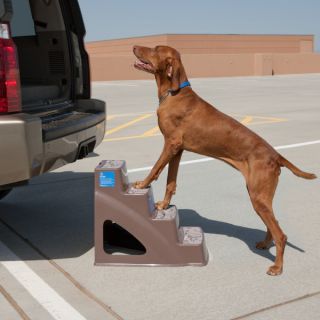Dog Ramps & Steps Top Paw™ Pet Step
