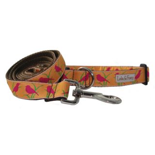 Lola & Foxy Nylon Dog Collars   Finch   Collars   Collars, Harnesses & Leashes