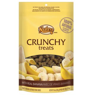 NUTRO® Crunchy Banana Dog Treat