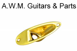 Buchsenblech Jack Plate Buchsenplatte Fender Strat Stratocaster Style