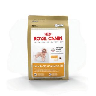 Royal Canin Poodle 30 Dog Food   Food   Dog