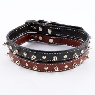 Coastal Pet Products Personalized Nylon Buckle Collars for Small Dogs