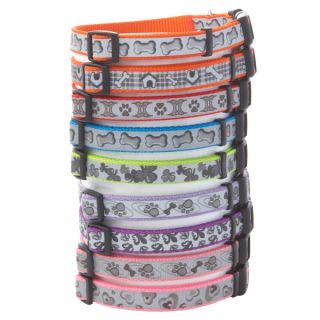 Coastal Pet Products Personalized Reflective Nylon Collars for Dogs   Summer PETssentials   Dog