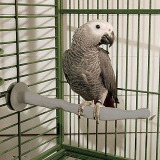 Designer Bird Cages for Pet Birds