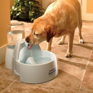 Dog Feeders & Pet Fountain