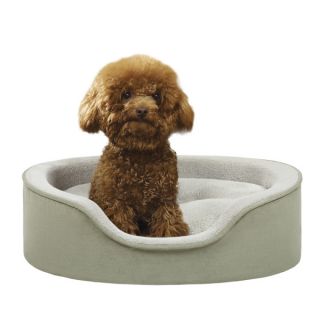 Soft Touch Faux Suede Oval Cuddler Dog Bed   Sage