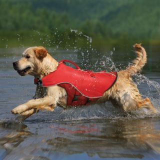 Backpacks for Dogs & Dog Life Jackets