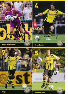 29 x Borussia Dortmund 2009/2010 100 Jahre Autogrammkartensatz Nr.66