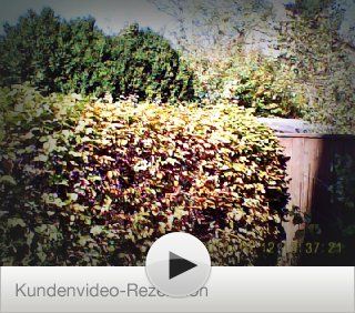 Kundenrezensionen Spionage Kamera Stift, Video , Foto