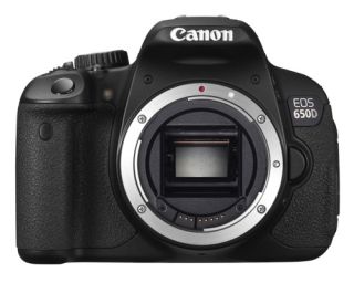 650D 650 D Body + Canon EF S 18 55mm IS + Canon EF 75 300mm f4 5.6 III
