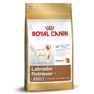 Royal Canin 35298 Breed Labrador Retriever 12 kg Haustier