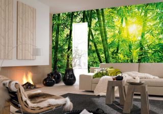 Fototapete, Bamboo Forest, 8 teilig, 366 x254 cm, Bambuswald 8 123