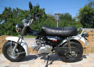 Skyteam T Rex 125ccm Schwarz