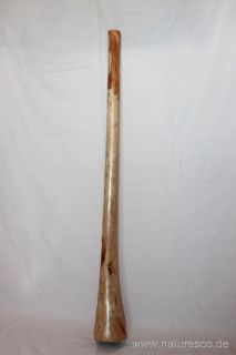 Eukalyptus Holz Eukalyptusholz Didgeridoo natur 130cm E