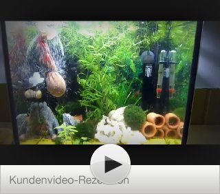 Kundenrezensionen Aquael Aquarien Shrimp Set   30 Liter