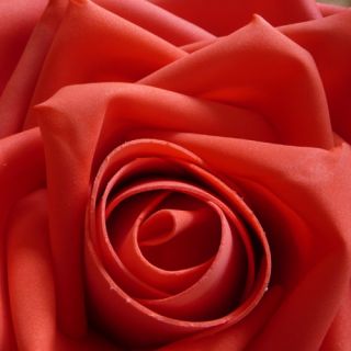 Hochzeit Riesenrose Rose Türdeko Hochzeitsbogen 28cm rot