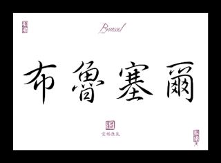 BRÜSSEL Schriftzug Schriftzeichen Bilder Symbole China Japan Schrift