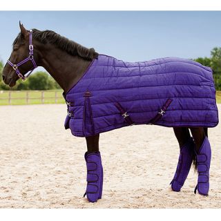 Pferdedecke Winter wasserabweisend, atmungsaktiv, violett karo 165cm
