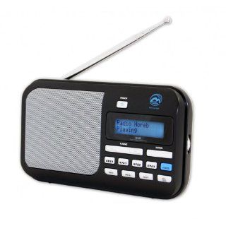 DAB+ 105 Digitalradio mit Radio Horeb Taste Schwarz 