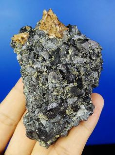 Fine Mineralien Selten Genthelvine,Magnetit~ Inner Mongolia