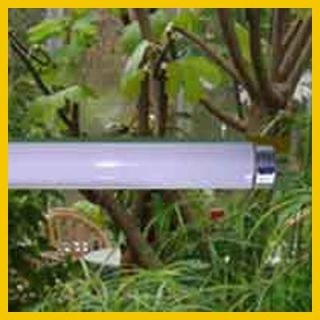 Pflanzenlicht Lampe Lumoflor T8, Pflanzenröhre 58 Watt