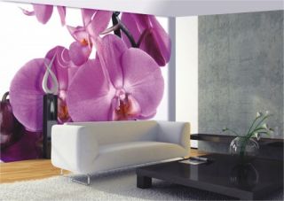 Wandbild 364 x 254 cm Poster 8 teilig + Kleister   Fototapete Orchidee