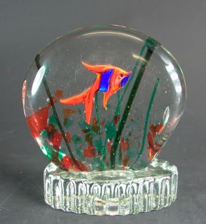 schönes Sockel Aquarium   Murano Glas